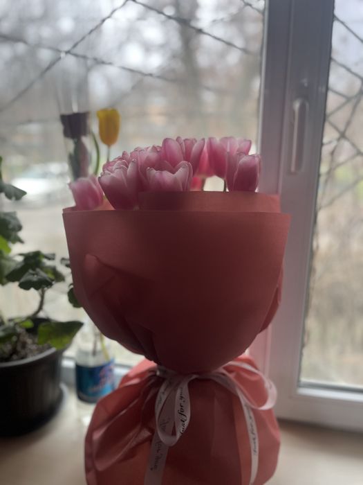 Продам цветы тульпаны 15 штук