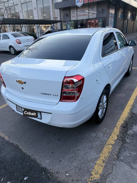 Kobalt MCM STYLE 2026