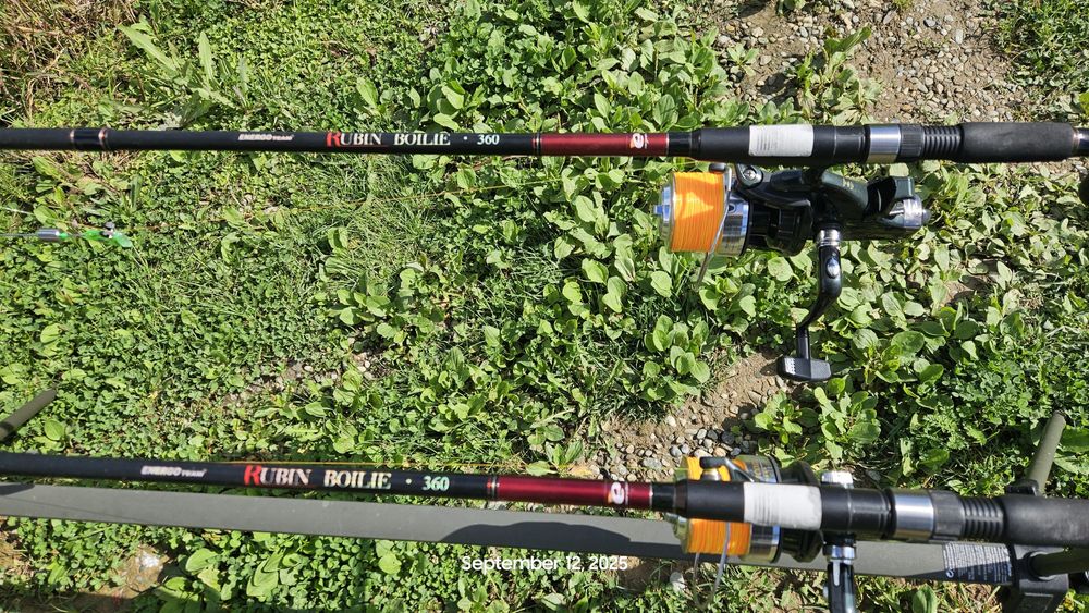 Bete pescuit la crap