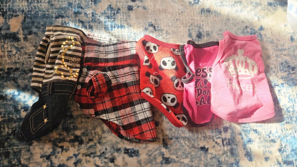 Одежда для собак