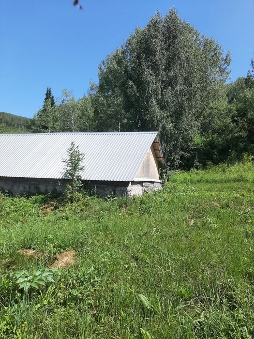 Продам пасеку в .