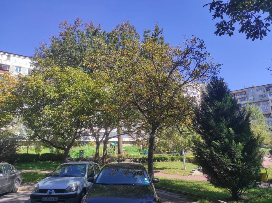 Продава се Тристаен апартамент в Варна, Владислав Варненчик - 61 кв.м за 1574 €/кв.м - Снимка #13