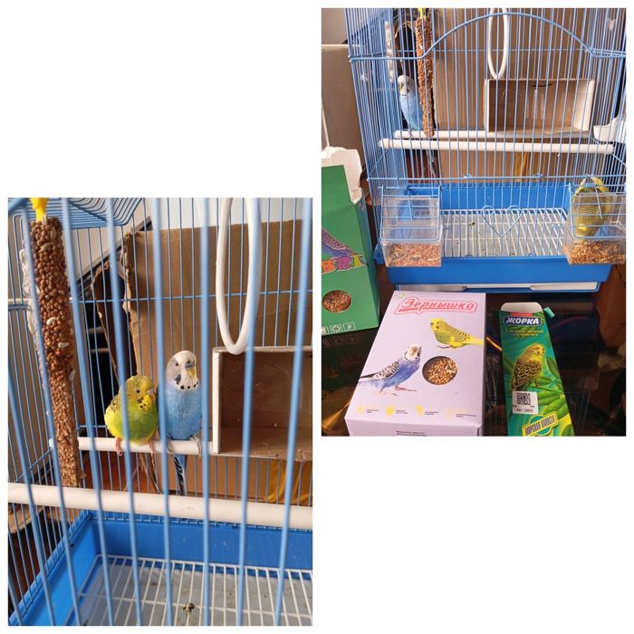 Продам    продам