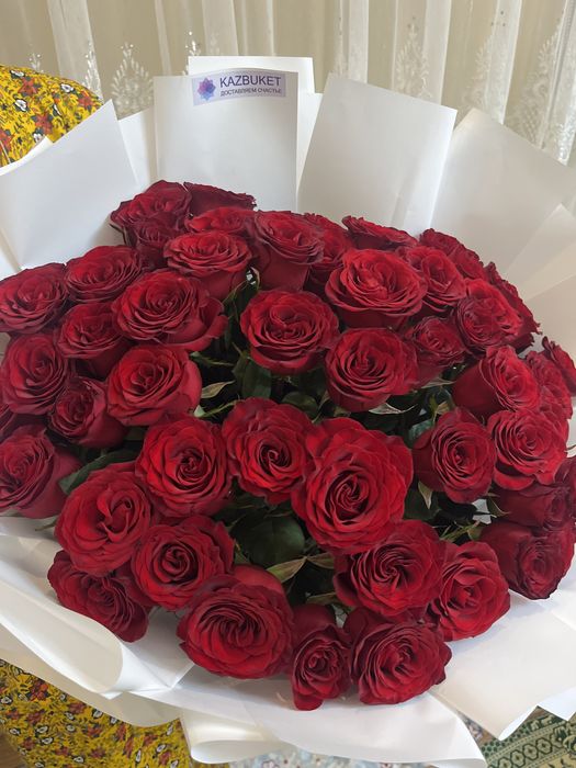 51 роза красный свежи