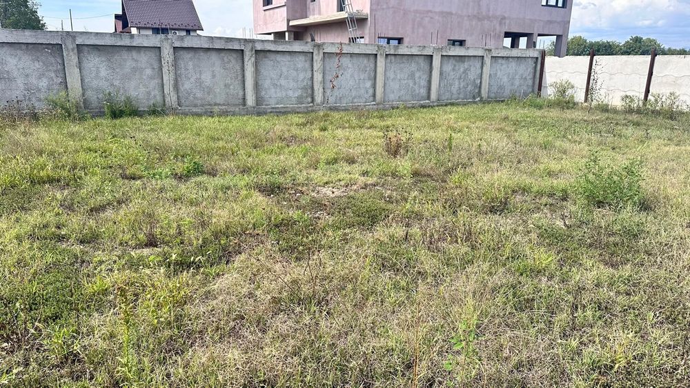 Teren intravilan 503 mp