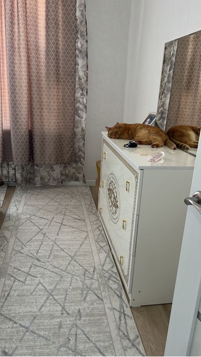 Возьму на подселение девушку