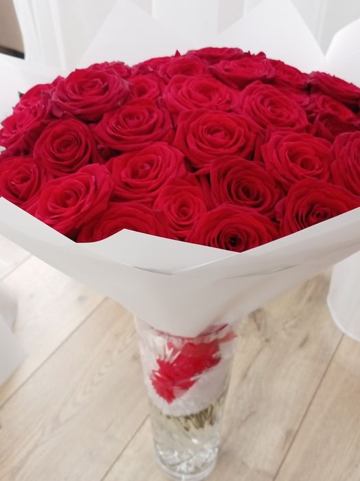 Продам цветы розы