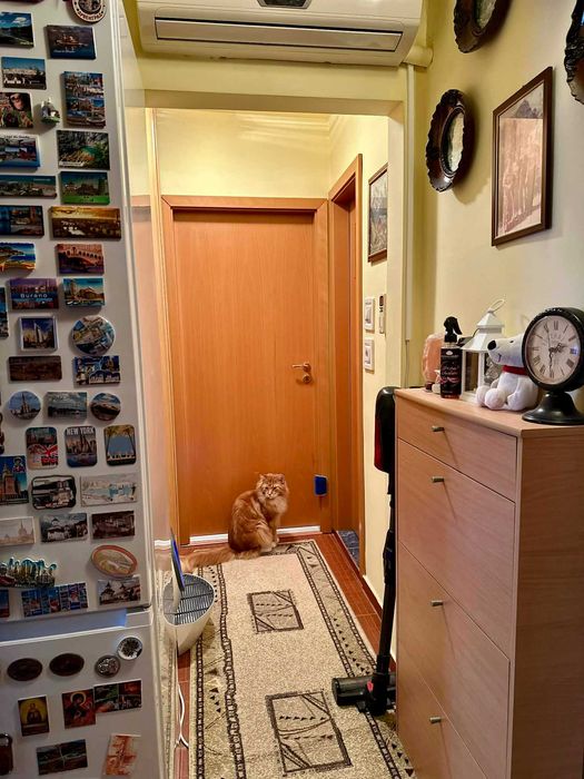 Proprietar, apartament 3 camere - Calea Sagului