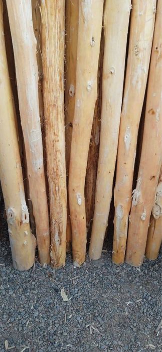 Терак Стойка оптом и в розницу