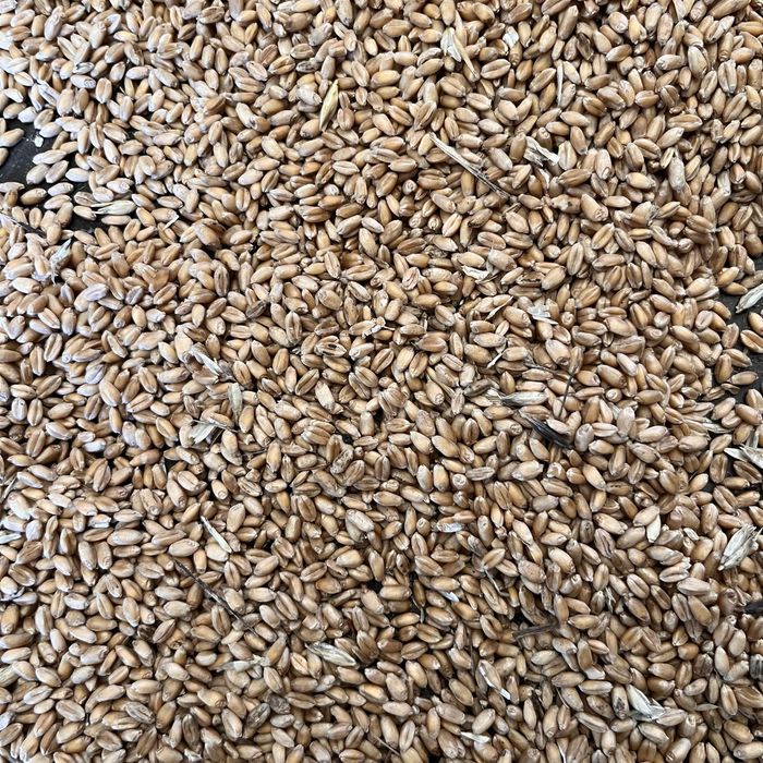 Ямень пшеница овес сечка бидай арпа