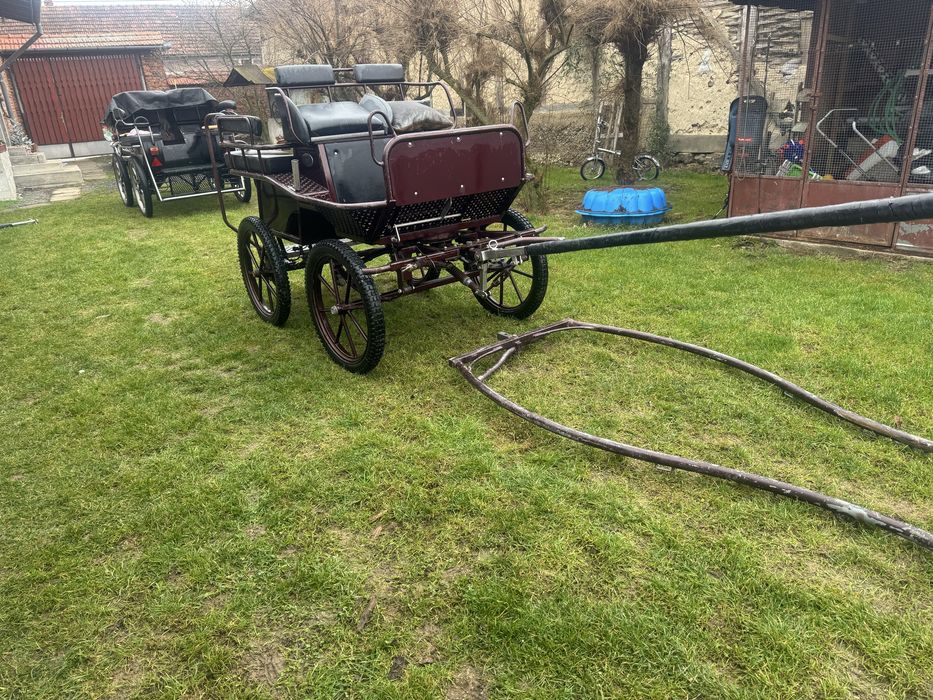 Vand trasura maraton