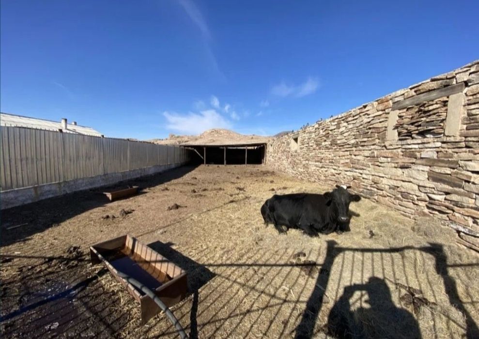 Крестьянское хозяйство