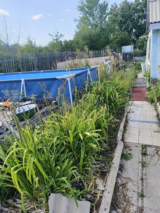 Продается дачный участок