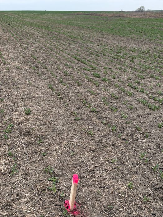 Teren arabil Vasilati