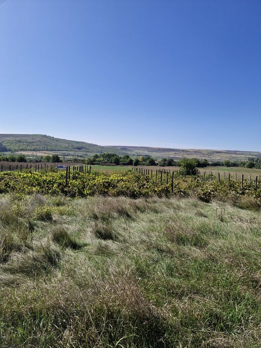 Teren intravilan  Podu Iloaiei