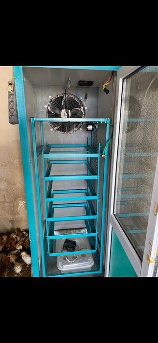 Инкубатыр балапан