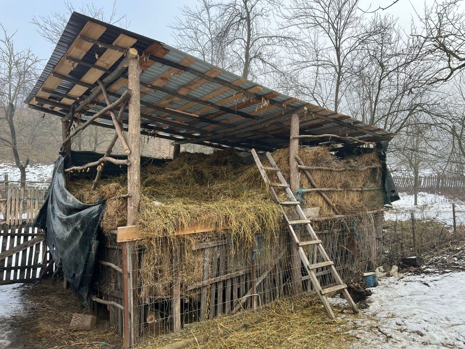 Fân amestecat cu lucernă – peste 4 tone