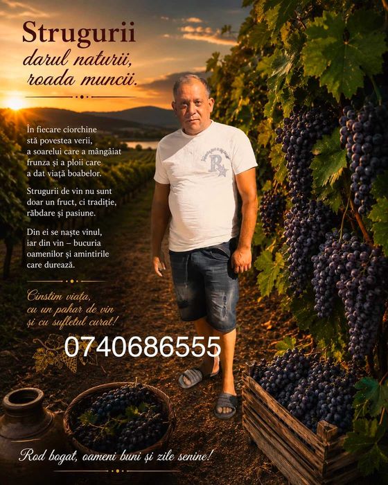 Vindem struguri de vin disponibil oriunde în tara