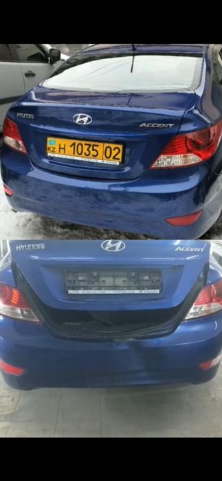 Костоправ моляр, ПДР