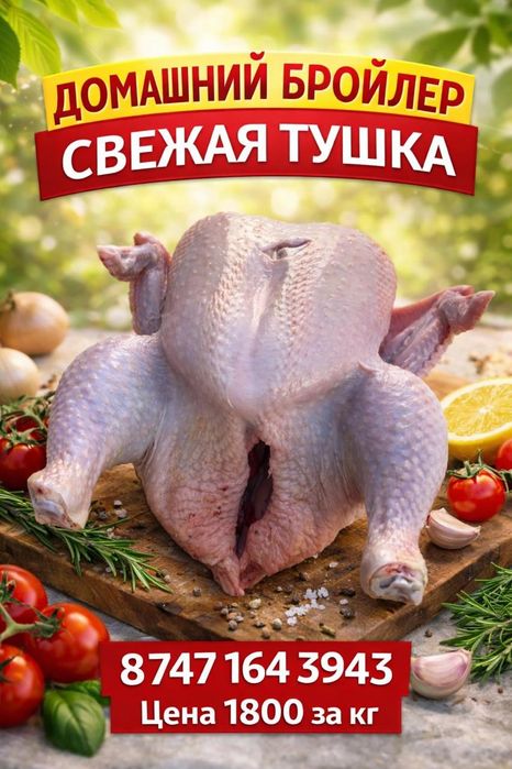 Бройлер . Мясо кур.