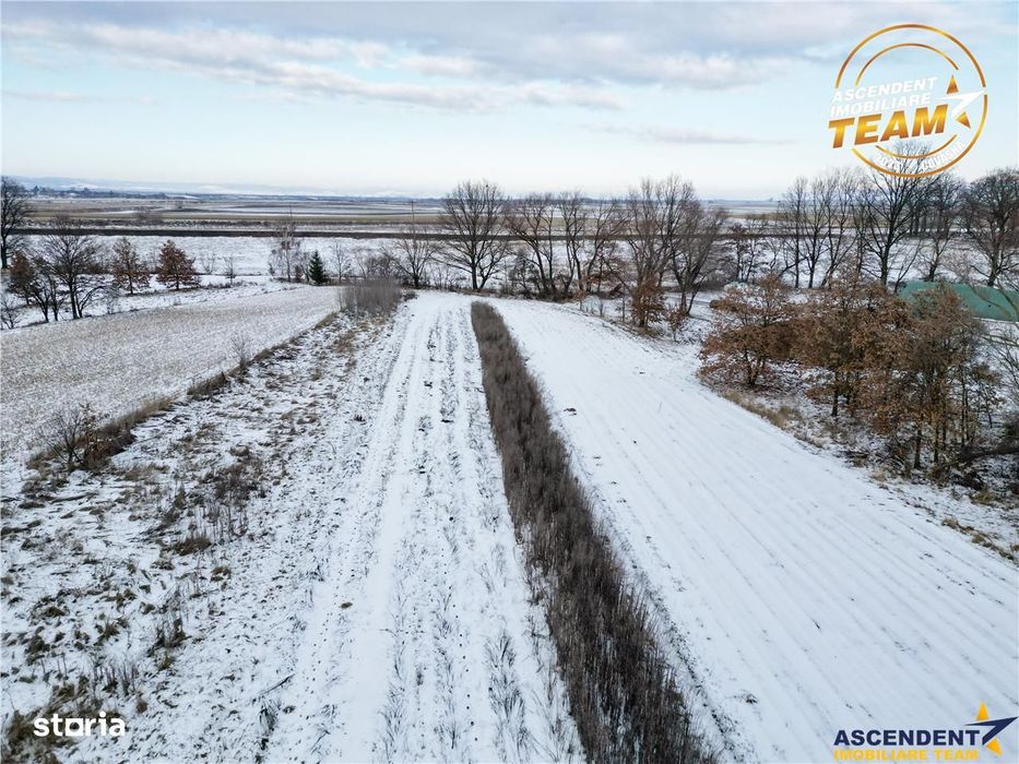 FILM! Oaza ta de liniste pe 4.900mp teren intravilan, Tufalau, Covasna