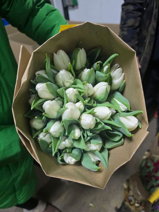 Тюльпаны Оптом напримую с теплицы