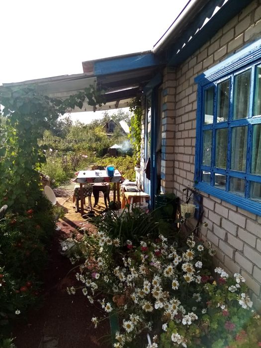 Дача в общещстве Ромашка