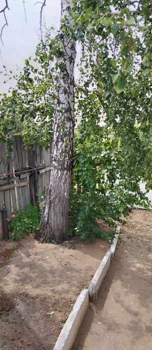 Продается дача продается дача
