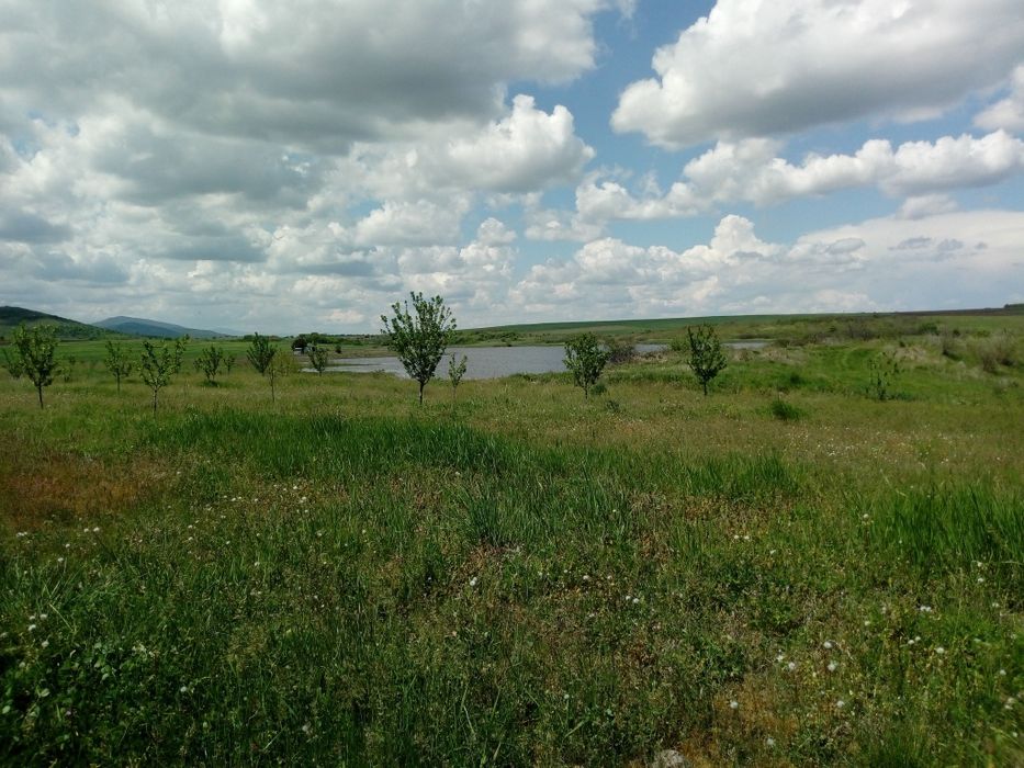 Продава се Земеделски имот в с. Сусам, Област Хасково -  кв.м за 702 €/дка - Снимка #3