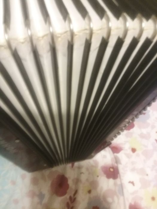 Acordeon hohner verdi ll 880 bandon