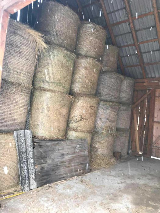 Baloți rotunzi de lucernă înfoliați si baloti rotunzi de fan (125*125)