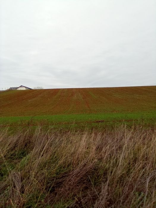 Vând 1 ha Les+ Nojorid cartier nou