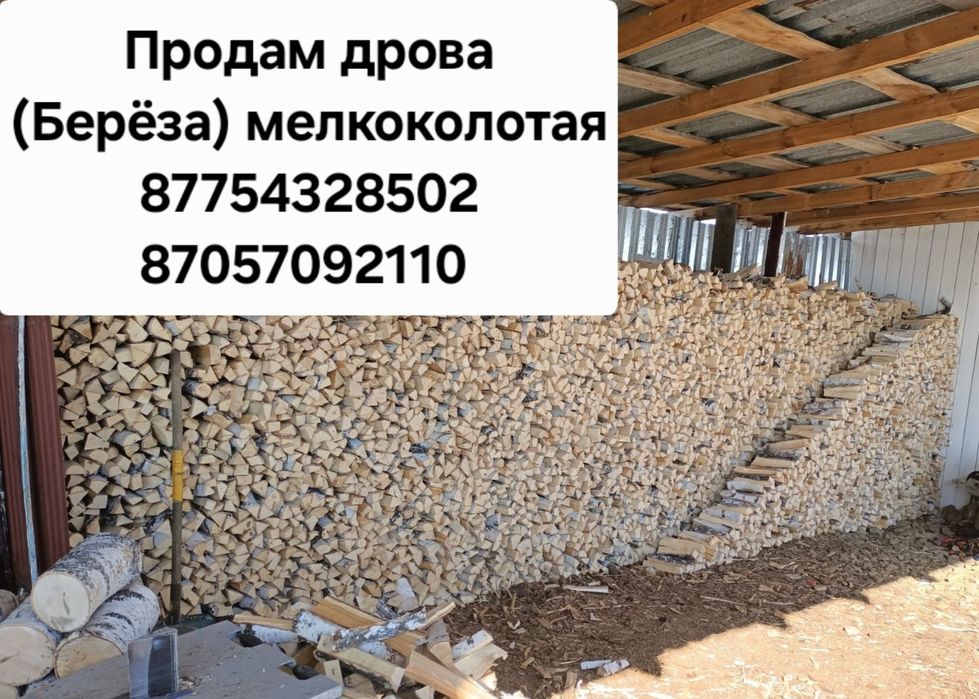 Продам дрова березовые