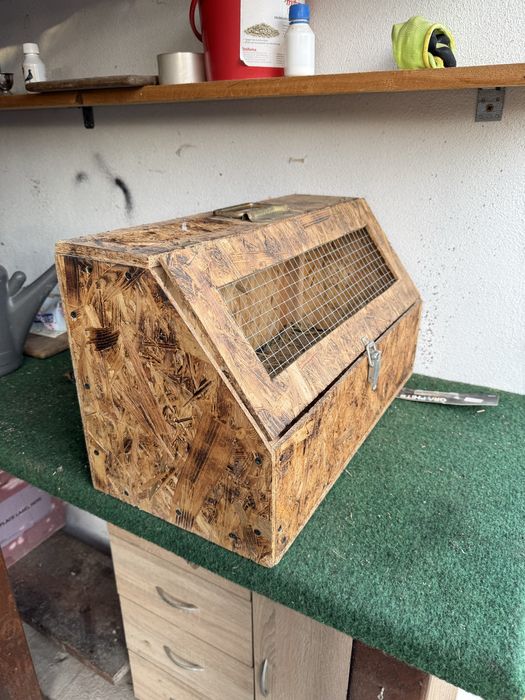 Cutii de transport iepuri