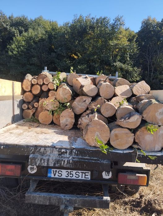 Aduc lemne la comanda