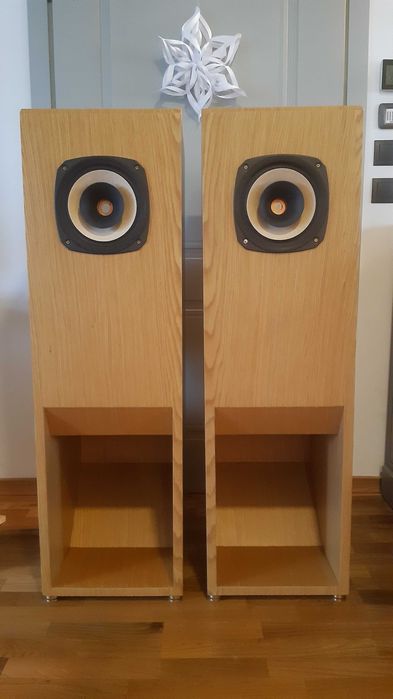 Хорни с FOSTEX FE206En