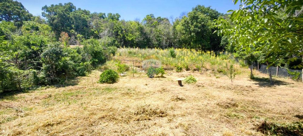 Продава се Парцел в к.к. Златни пясъци - 901 кв.м за 17 €/кв.м - Снимка #1