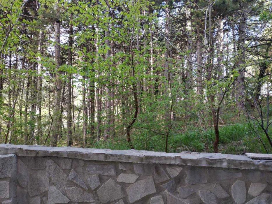 Дава се под наем Заведение в Варна, Бриз - 147 кв.м за 600 € - Снимка #6