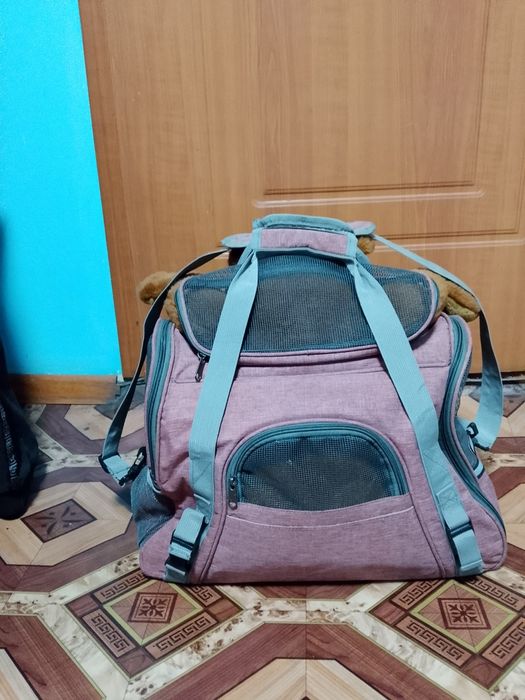 Сумка для переноски животных