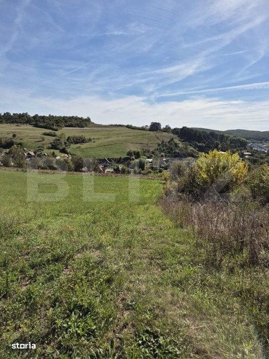 Parcela 12000 mp teren intravilan de vanzare in Livezeni