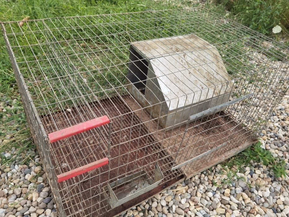 Cușcă iepuri, 4 buc 100x60x50