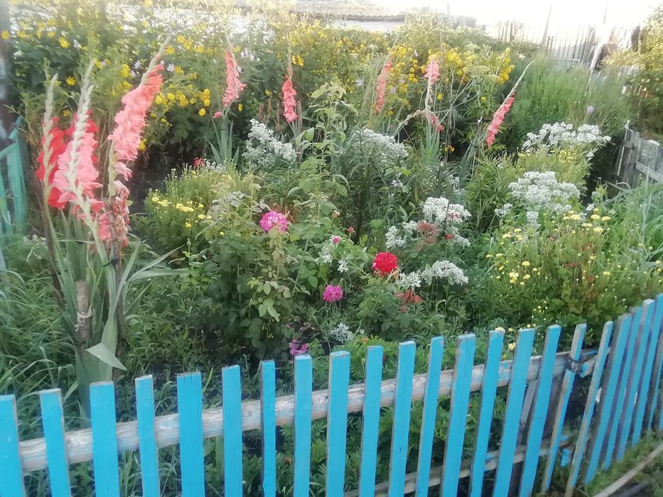 Продам дом в деревне.