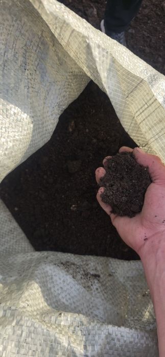 Чернозем плодородная земля