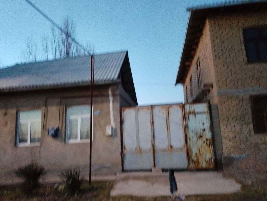 Yangiyoʻl tumanida joylashgan ezoz kfesi yonida zarilga sotilayabdi