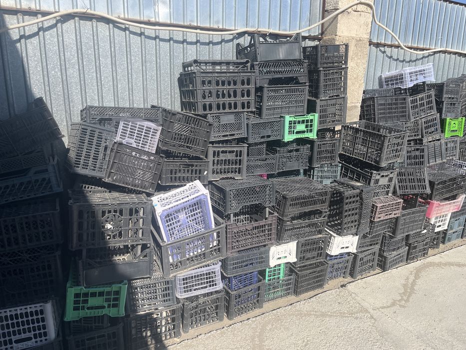 Пластик корзина көп бар