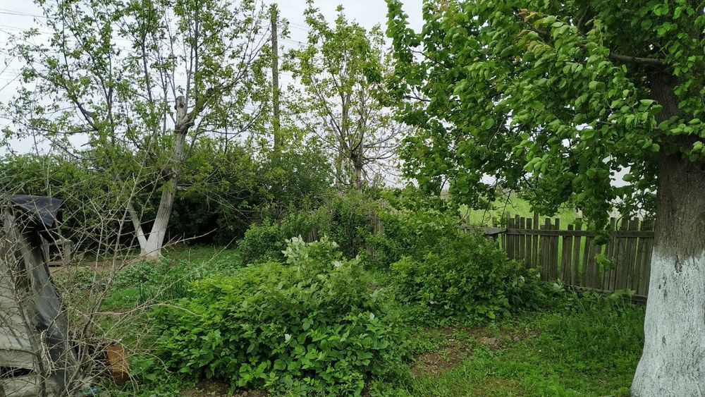 Продается дом ( Ховли уй, hovli uy ) в поселке " Геолог"