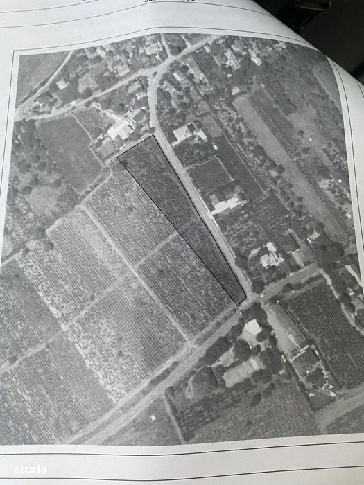 Teren intravilan de 5000 mp, acces asfaltat