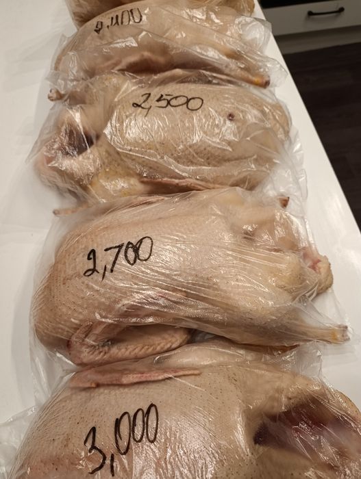 Продам домашних уток,находимся в Имантау.