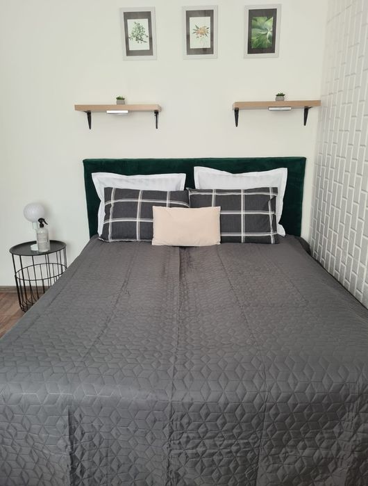 Apartament 2 camere la curte
