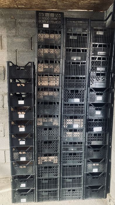 Корзины для овощей и фруктов